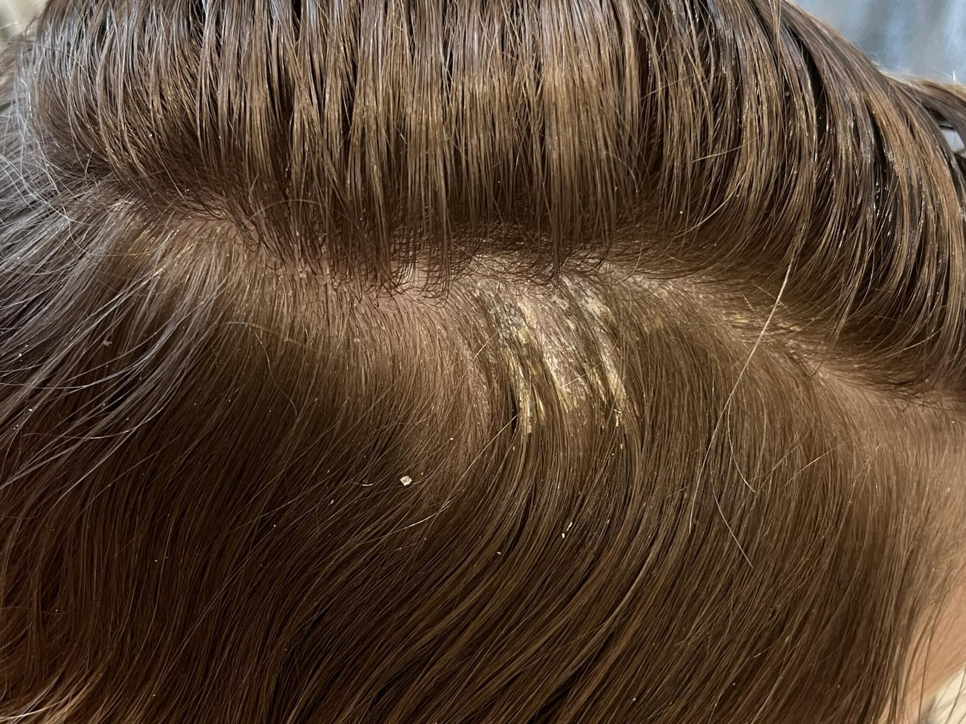 Strona główna 3 56f222a1 8a11 441f a868 e1764789564396